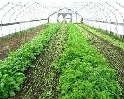 防水保溫被最重要的兩大優(yōu)點您了解嗎？