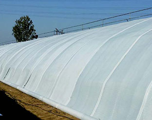 北京市房山區(qū)農(nóng)科所