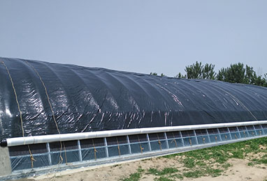 做溫室大棚有什么特別的注意事項嗎？